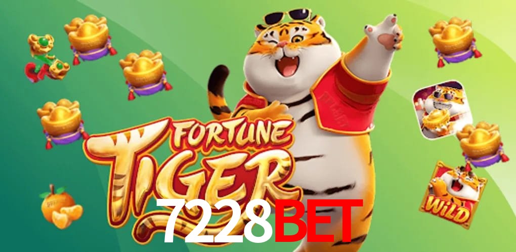 Experiência VIP 7228BET